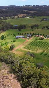 This International Women's Day, we're raising a glass to the incredible  women shaping the Great Southern wine industry. From winemaking to wine  education, these trailblazers are crafting exceptional drops, challenging  industry norms,