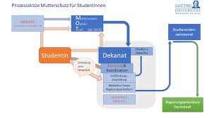 Alles über die rechte und pflichten von schwangeren und wann sie von der arbeit frei gestellt werden können. Goethe Universitat Mutterschutz Fur Studentinnen
