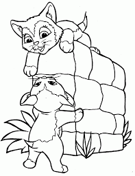 618x597 coloring pages of real kittens image free printable kitten 906x1011 cute kitten coloring pages to print google search realistic cat Kitten Coloring Pages Best Coloring Pages For Kids