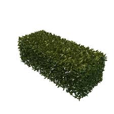 Best Free Hedges Image Png Transparent Background Free Download 32440 Freeiconspng Garden png & psd images with full transparency. best free hedges image png transparent