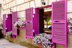 Sansevieria memiliki daun keras, sukulen, tegak, dengan ujung meruncing. Tanaman Hias Gantung Tanaman Hias Ungu Tanaman Hias Murah Pusat Tanaman Hias Surabaya Jual Tanaman Hias Murah For Mom And Everything That Matters