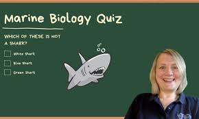 Only true fans will be able to answer all 50 halloween trivia questions correctly. Marine Biology General Knowledge Quiz That Teaches Too Small Online Class For Ages 6 11 Outschool