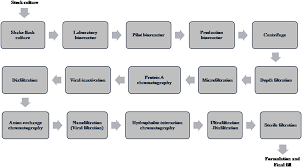 See full list on degruyter.com Frontiers Recent Developments In Bioprocessing Of Recombinant Proteins Expression Hosts And Process Development Bioengineering And Biotechnology
