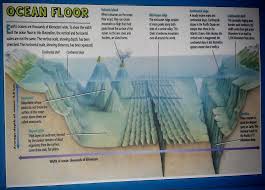 Features Of The Ocean Floor Worksheet Free Worksheets Library Ocean Earth Science Worksheets Free