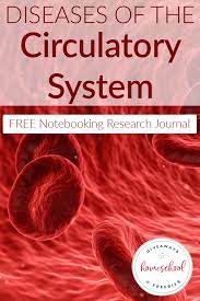 Diseases Circulatory System Notebook Circulatory System Circulatory System Diseases Life Science