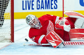 Hearing that jonathan bernier will be available on july 28. Detroit Red Wings Goalie Jonathan Bernier Easily 2020 21 Team Mvp