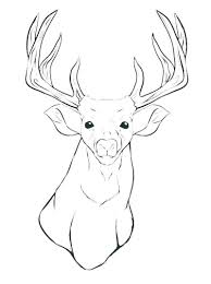 Deer Coloring Pages For Your Lovely Kids