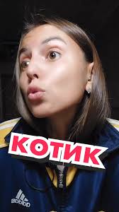 Кошка Выгнала Медведя