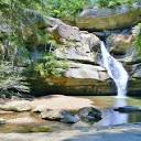 Cedar Falls Hiking Trail - All You Need to Know BEFORE You Go (2024)