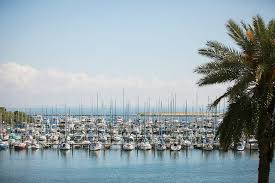 Check spelling or type a new query. Boat Owners Push Back At Marina Redevelopment Plan St Pete Catalyst