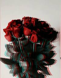 Pin By Crystal Rose On Flowers Flower Aesthetic Aesthetic Roses Tumblr Wallpaper