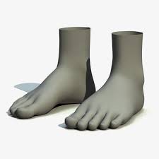 Realistic Feet 3d Max Feet 3d Model Model