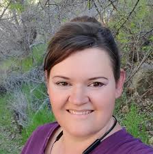 Volkswagen Beetle Camper Van