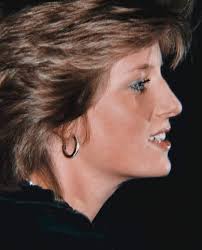 Princess Diane will always remain in my Heart alwaysxx