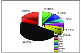 Image result for Myrianthus arboreus