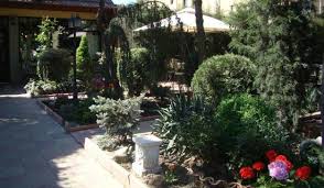 Terasa Colonadelor Constanta Restaurant Reviews Photos Phone Number Tripadvisor