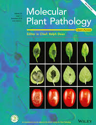 Summer edition various artists 2013. Phyllosticta Citricarpa And Sister Species Of Global Importance To Citrus Guarnaccia 2019 Molecular Plant Pathology Wiley Online Library