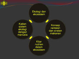 Kitaran ini disebut sebagai kitar nutrien. Sukatan Pelajaran Geografi Alam Sekitar Fizikal Ppt Download