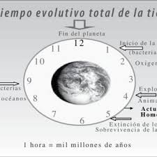 Meseria de bucatar este una foarte apreciata, iar salariul este de cele mai multe ori proportional cu experienta si calitatile profesionale. Pdf Los Hombres Tambien Se Emocionan Hacia La Construccion De Masculinidades Presentes