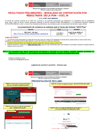 RESULTADOS PRELIMINARES PUN