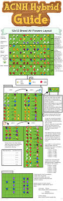 I Made A 12x12 Layout To Breed All The Flowers In New Horizons Ac Newhorizons In 2020 Animal Crossing Animal Crossing Guide New Animal Crossing