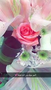 Check spelling or type a new query. 63 ØµÙˆØ± ÙˆØ±ÙˆØ¯ Ideas Flowers Beautiful Flowers Planting Flowers