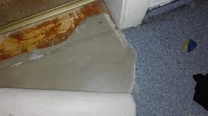 Mit welcher methode kann ich teppich einfach entfernen? Grauen Kleber Vom Holzboden Entfernen Holz Heimwerken Teppich
