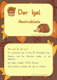 Igel Abschreibtexte In Grundschrift Abschreibtexte Reif Fur Die Ferien Igel
