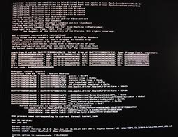 Image result for kernel panic snow leopard