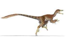 Where did dinosaurs come from? Sad Dinosaur Facts Velociraptor Swift Thief Late Cretaceous 75 71