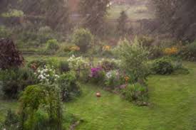 Es ist ein wirklich schöner garten. Ywa Eo1q4br4mm