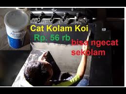 Pemilihan cat kolam ikan koi. Video Cat And Koi