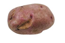 Bilderesultat for tuber