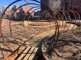 Image result for Sporobolus molleri