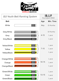 kids bjj orange belts