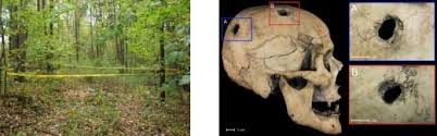 Pour connaitre l'âge du mort, l'anthropologue judiciaire examine l'usure des dents, le degré de en plus d'une analyse visuelle méticuleuse, les anthropologues judiciaires peuvent procéder à des. Comment Illuminer L Anthropologie Judiciaire Avec Le Scan 3d Notre Siecle