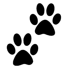 Portland veterinary wellness center believes that all animals deserve compassionate and affordable veterinary care. Avian And Exotic Veterinary Care Home Facebook