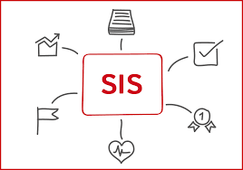 Die datei kann zum ausmalen oder basteln verwendet werden. Strukturmodell Sis Eine Erfolgsstory Profsys