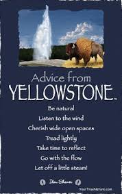 National Park Advice Your True Nature Advice Quotes Advice Good Advice