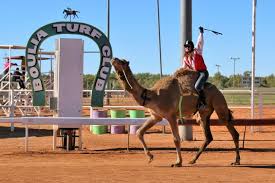 Now along comes the young reporter latif nasser and says nasser's talk comes in the light of a discovery by natalia rybczynski, a paleobiologist who digs up really old dead stuff up. 6 Reasons You Need To Put The Boulia Camel Races On Your Bucket List Outback Queensland