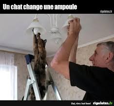 Un chat change une ampoule - Blagues et les meilleures images drôles!