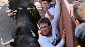 We did not find results for: Sin Heridos En Un Encierro De Mas De Tres Minutos En Sanse Madridiario