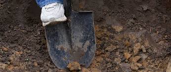 We did not find results for: How To Improve Heavy Clay Soil