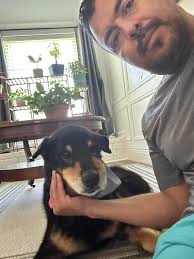 Hi everyone. I'm new to the group. I'm Michael. I enjoy spending time in  the yard. I have a few fruit trees, valley lemon, apple trees, peach trees,  Granada, tangerine, guayaba, tamarindo,