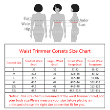 Waist Trimmer Belt Unisex Waist Trainer For Weight Loss For Men And Women Black From Clonew