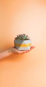 Beton Blumentopf Gross Geometrischer Ubertopf Vase Fur Sukkulenz Kaktus Tilandsien Pentagon Gold Kaktus Grosse Blumentopfe Und Pflanzgefasse