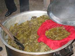 Mungkin ada yang belum mengenali pokok dan daun ketum, sila rujuk gambar. Cara Clearkan Urine Ketum