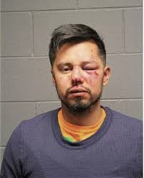 ᐅ Illinois Criminal Records 2009-2026