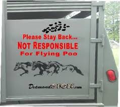 Horse Decals Horse Stickers Graphics For Horse Trailers Horse Trailers Funny Horses Horse Riding Clothes