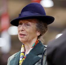 Royal catch up: Last week, Princess Anne made a return to royal duties  following her concussion and hospital stay. The Princess Royal is making a  phased return to work after she was